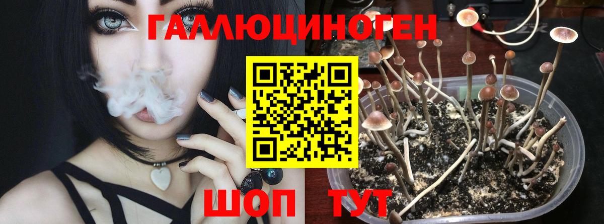 купить наркотик  Вход с VPN  Стрежевой  Галлюциногенные грибы Psilocybe 